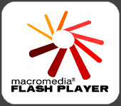 Flash Player